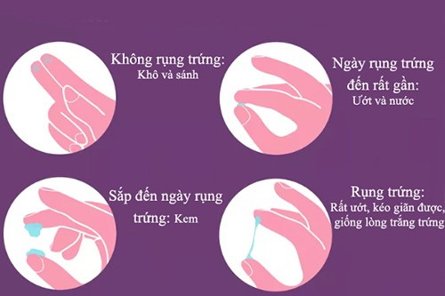 Hẹn hò online